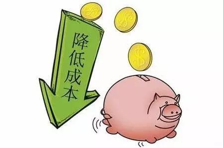 省钱又环保，牧草养猪没想到能省这么多！