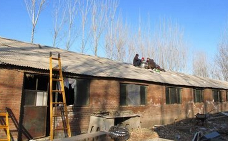 广东棠下两养猪场被断水电，一年内拒整改