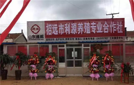 猪场服务一条龙，山东通威利源农合社架起致富桥