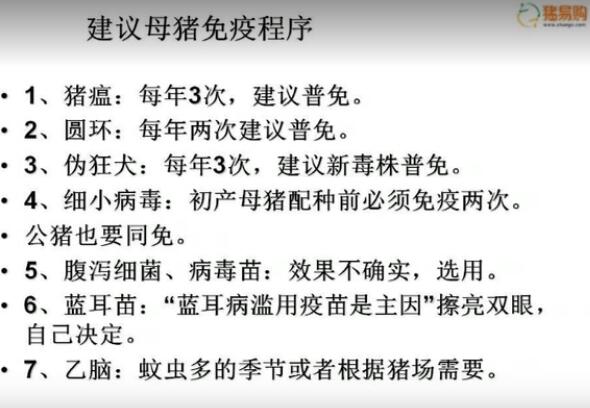 ​母猪怀孕易流产？养猪人用这7个办法，预防效果好！