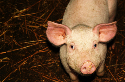 不要地方陪同！环保部28个督查组开展独立督查