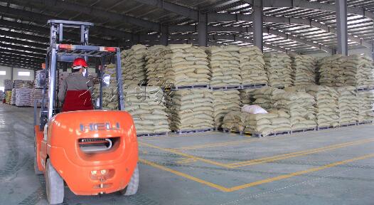 饲料价格上涨令人担忧，玉米价格疯涨的动力是否充足？