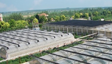 壕！天邦股份拟投资24亿元建西式母猪场及配套项目