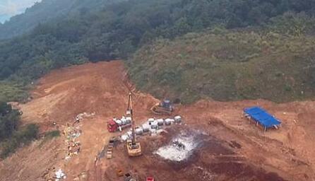 300吨病死猪被偷埋！养殖户：从没拿过死猪无害处理补贴