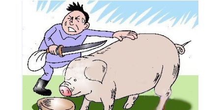 卖猪肉的私宰三头猪 被罚三万多元