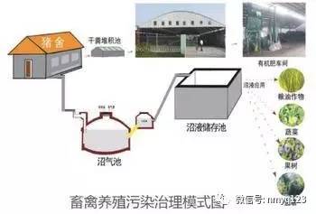 农业部推进畜禽粪污资源化利用 绿色农业发展又有大思路
