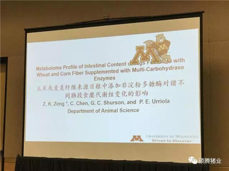 听课笔记 | 美国李曼养猪大会（连载一）