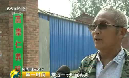 央视：生猪产能恢复，后期猪价大涨可能性不大