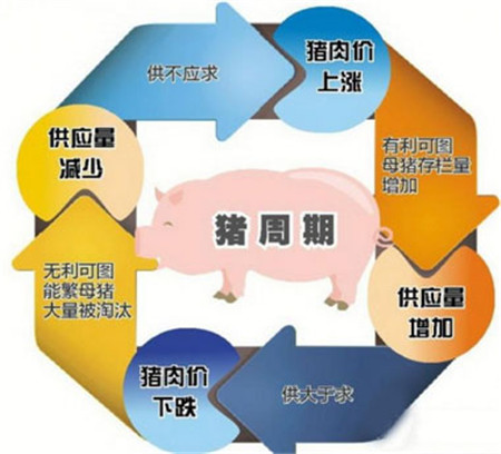 “猪周期”的无限循环虽有变数但难以消失