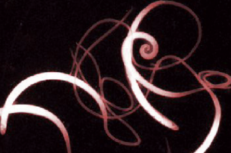 猪寄生虫驱虫不理想？小编来给你支招！