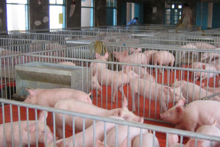 中国农业即将发生的14个重大变化！不可不知道！