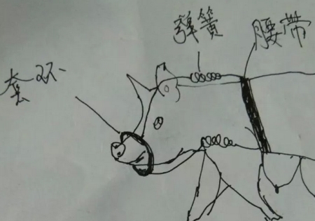 母猪咬仔猪再也不怕了看咱自己发明的防咬神器！