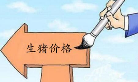 王中：猪价进入下行通道是大势，后期养猪人很困难？