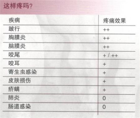 猪只疼痛时发出的信号和人是一样的吗？
