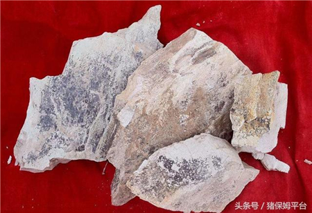 用这种石头喂猪，猪不仅长得快，还能少得病