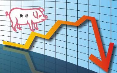 预计10月猪价季节性下行，当前猪粮比仍处历史高位