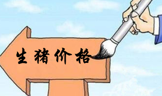 10月底将迎来消费旺季，11月猪价或出现反弹上涨！