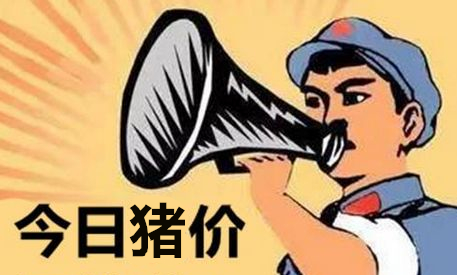 最新消息：全国猪价调整趋势，跌情向北移动！