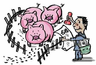 养猪业正值大清洗，有人却在偷偷乐,你知道吗？