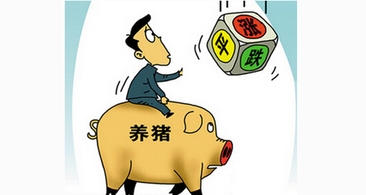 行情怎么了？猪养越大反而越赔钱！你知道是为什么吗？