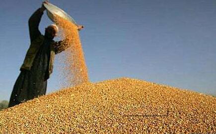 新版饲料卫生标准正式发布 明年5月正式实施