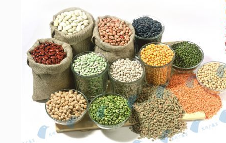 给猪喂干粉料、湿拌料还是颗粒料？