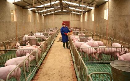 养殖场被拆迁，教你六招提高拆迁补偿