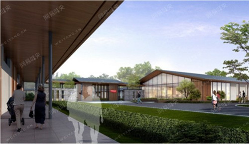 全国各地谈“猪”色变 为何偏偏独宠网易味央？