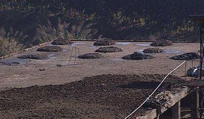 每年102万吨的养殖废弃物就这样处理掉了