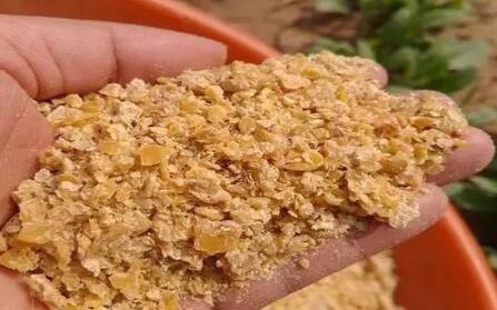 短期内市场缺乏带动豆粕价格的推动力