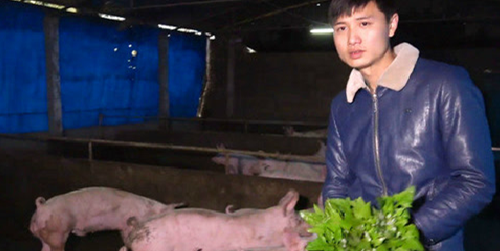 禁养区之后，禁煤区来了，这个冬天养殖户或许不一样