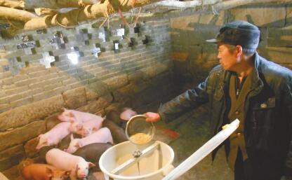 信义老爹坚持15年替子还债 养猪打零工还清19.95万