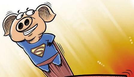 白条猪肉价格下跌 屠宰企业持续提价动力不足