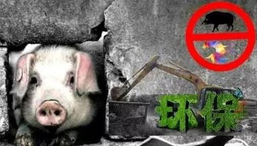 多位中央部委领导替环保拆迁猪场说话！