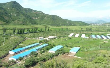 三个季度赚了328.19亿，这些企业赚钱的秘诀是？