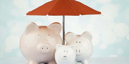 想知道2017生猪价格未来走势！看这四张图便可