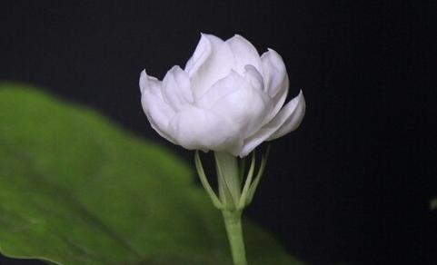 把每天都当作“最后期限”