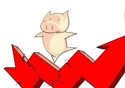 猪价震荡，11月份能否打个漂亮的翻身仗？