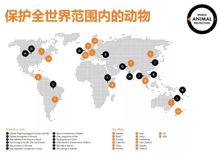 花10分钟来听听预防兽医博士来讲农场
