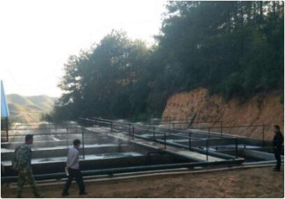 “四比六促”再发力 猪场环境换新貌