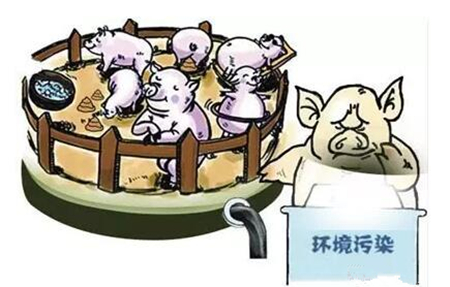 检察建议给力执行！无证养猪场被关停整改