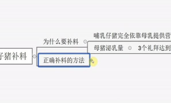 哺乳仔猪这样补料，仔猪长的又快又健康！ 