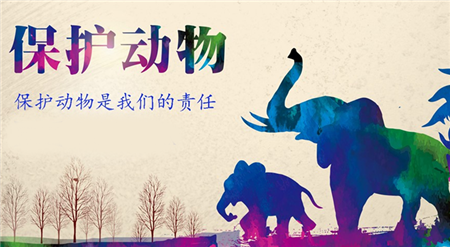 养猪户手下这份利好 中国首部动物福利行业标准通过专家审查