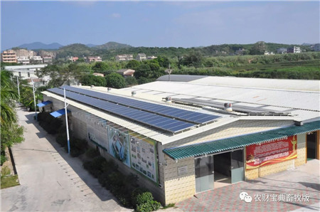 散养户以后这样养猪！农业部等6部委也支持