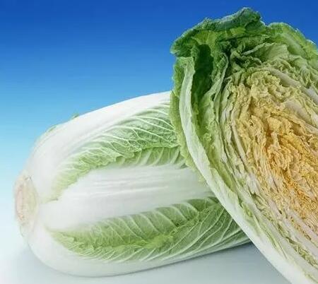 这些饲料可以提高猪的抗寒能力，冬季的时候喂最合适！