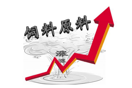 预混料迎史上最大涨幅 这对猪场意味着什么