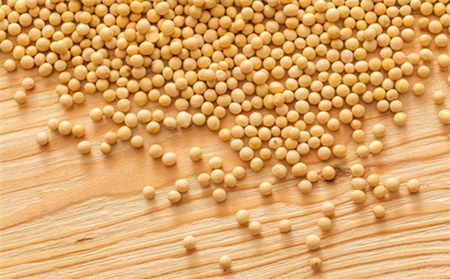 猪肉价格伤透养猪户的心 2018年改种大豆怎么样？