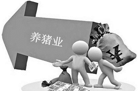 养猪业出现前所未有的发展局面，具体变化有这些