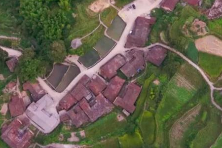 “养猪村”转变为“甜蜜古村” 青田小村庄夜色撩人