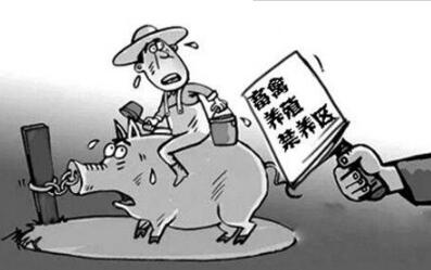 2018年养猪五大要素需注意，赚钱路上别被落下了